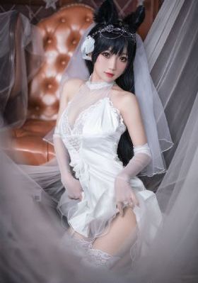 免费高清视频观看